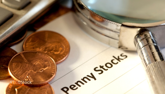 Top 10 Penny Stocks to Watch in 2024